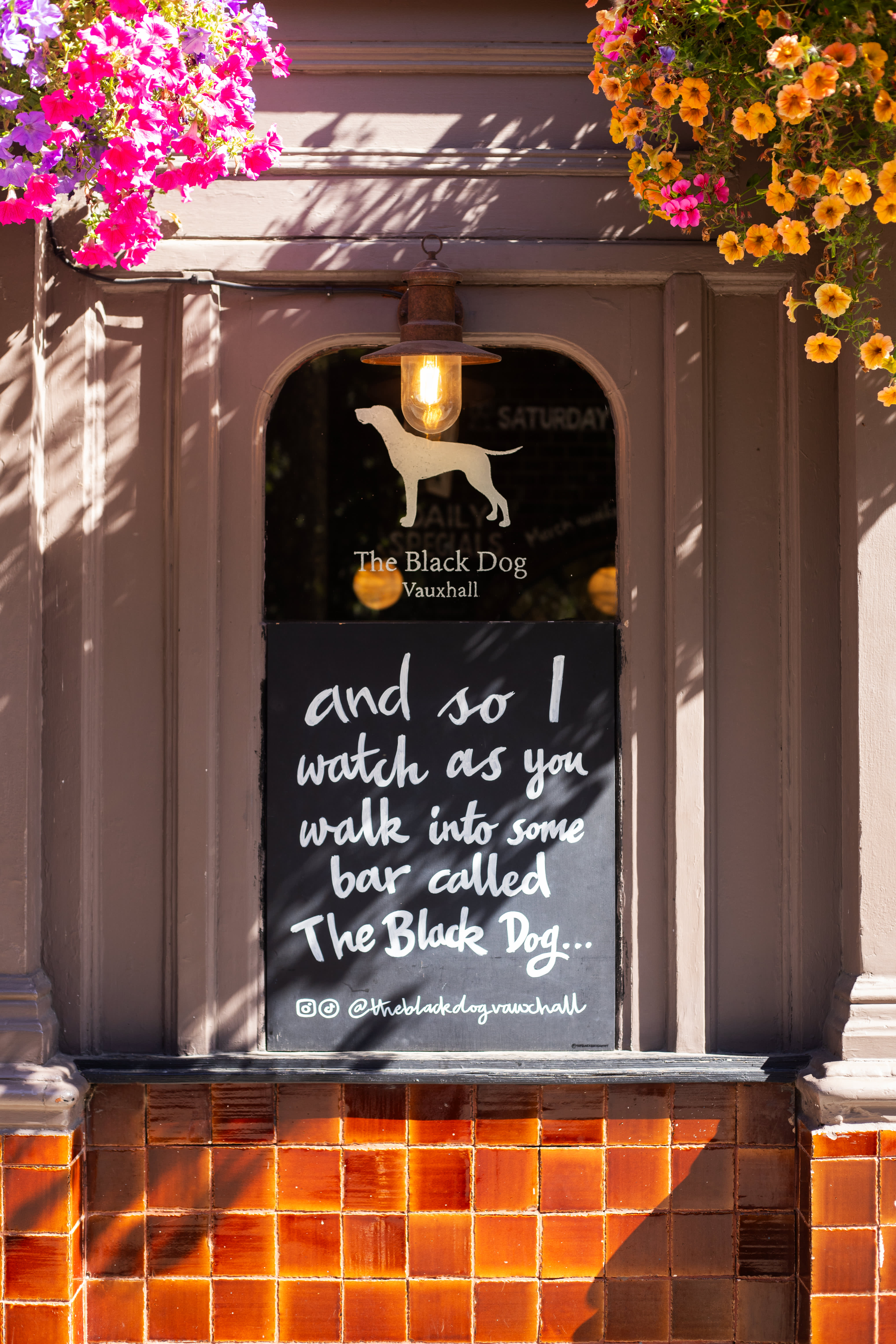 A finished white script blackboard beside The Black Dog entrance and hanging flowers.