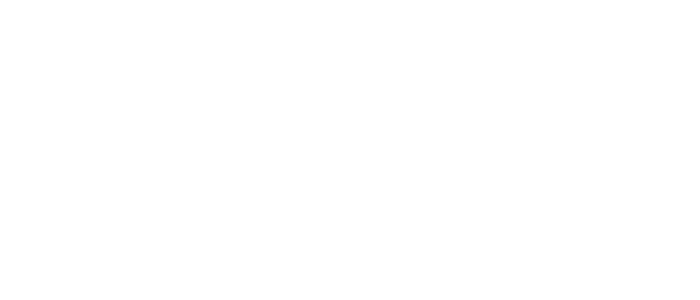 The Ned logo