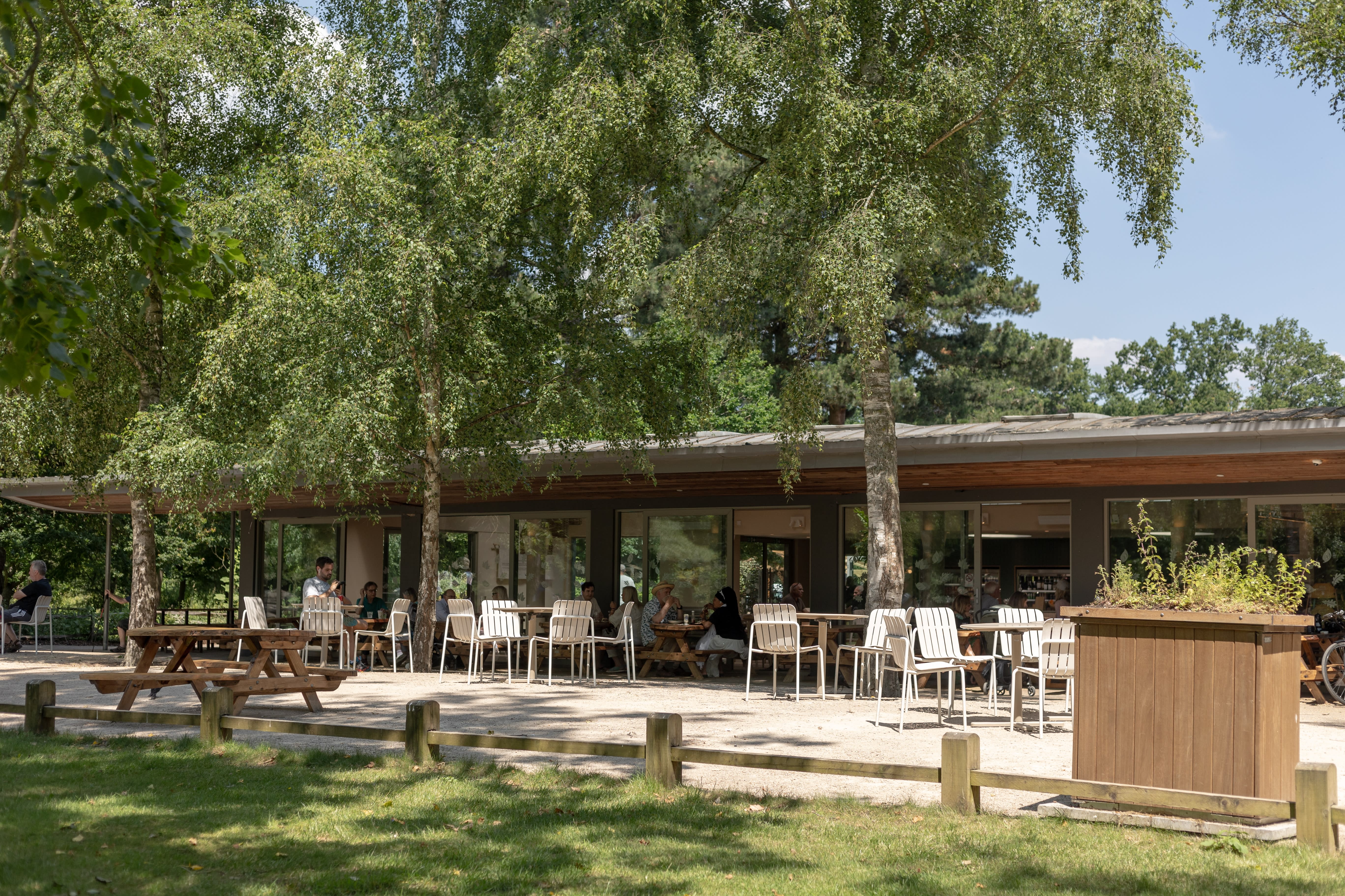 Colicci café and outdoor seating beneath trees in a London park.